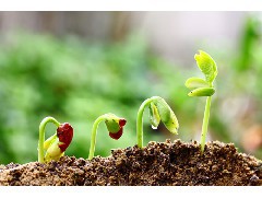 江門土壤檢測(cè)公司：土壤污染治理現(xiàn)狀、問題與對(duì)策研究